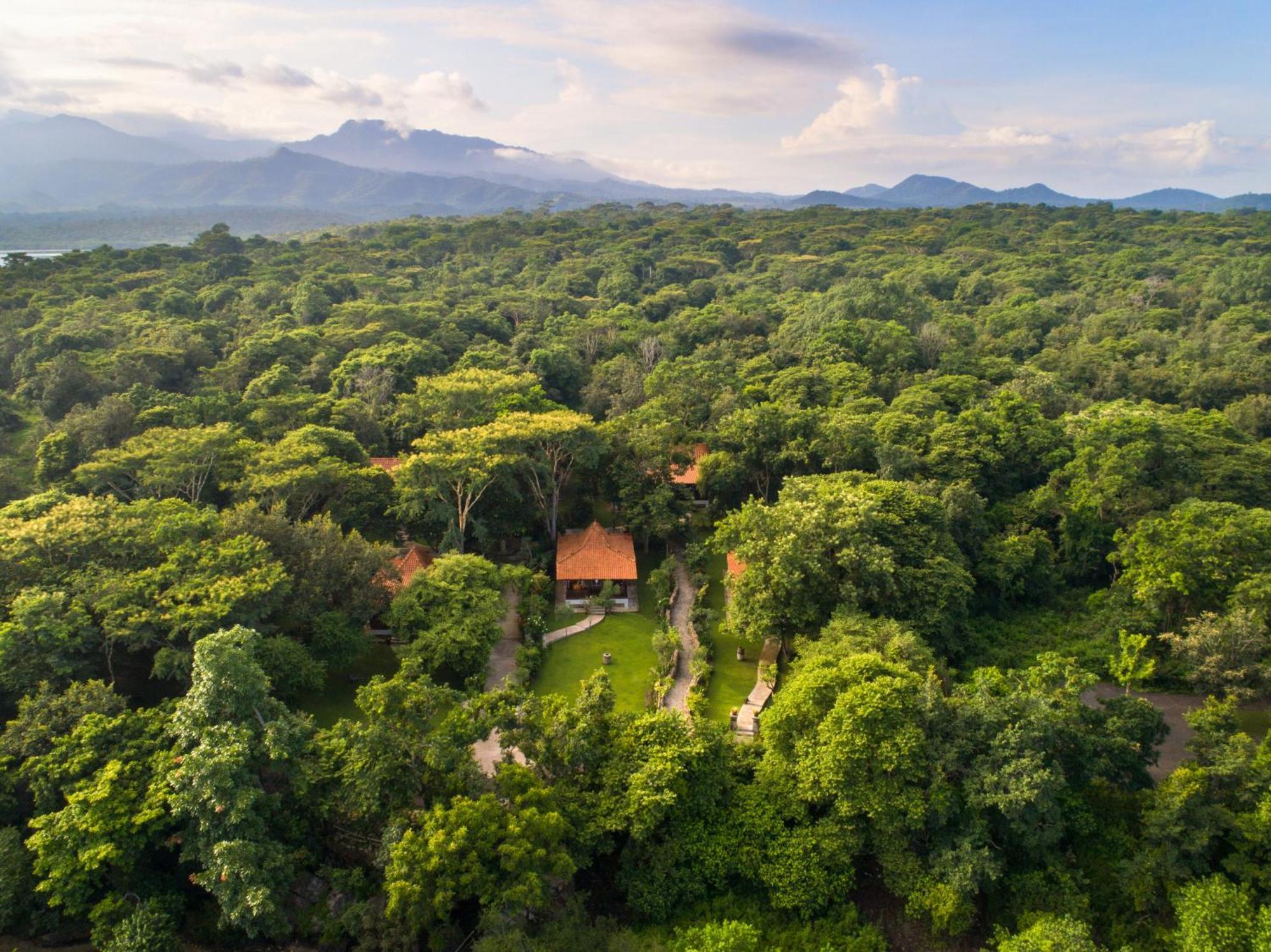 Plataran Menjangan Resort And Spa - Chse Certified Баньюведанг Экстерьер фото